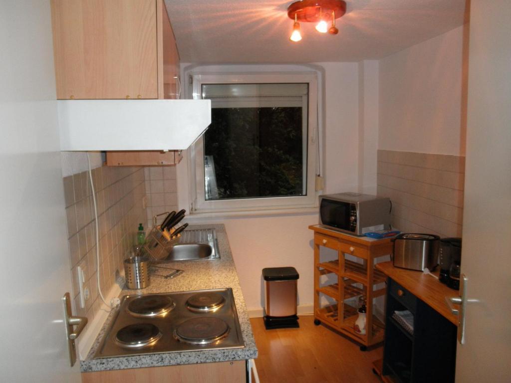 Apartment-Ferienwohnung Dresden-Briesnitz Oda fotoğraf